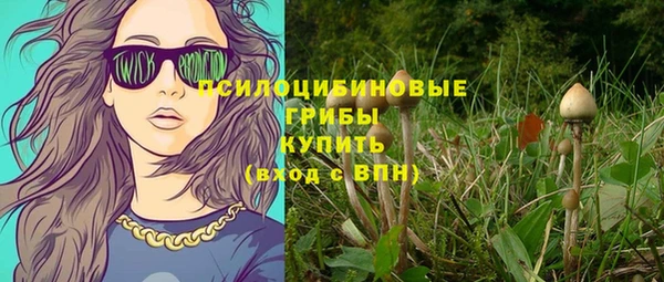 хмурый Абинск