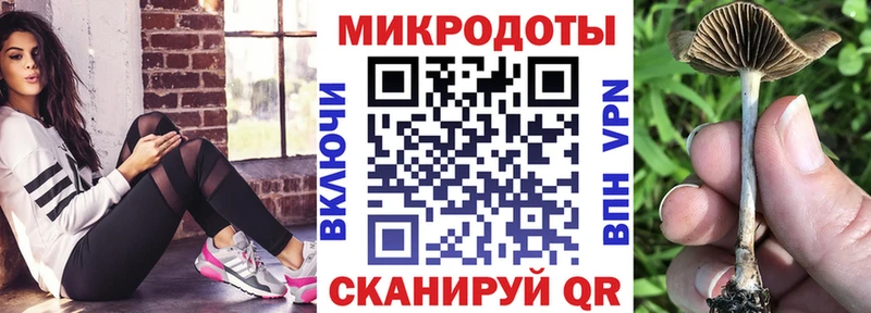 Галлюциногенные грибы Psilocybe  hydra маркетплейс  Канск  даркнет сайт 