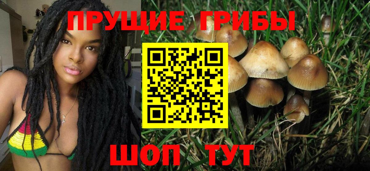 Галлюциногенные грибы мицелий  Вход с VPN  Канск 